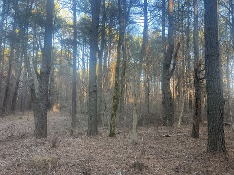 116 Zara Spook Dr Cedar Grove TN 38321