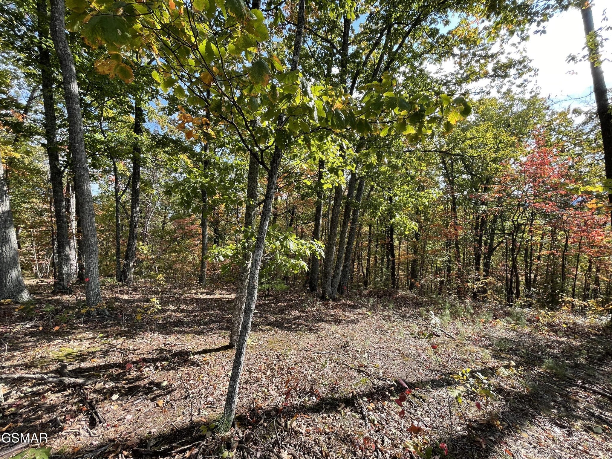 234 Sulpher Springs Way