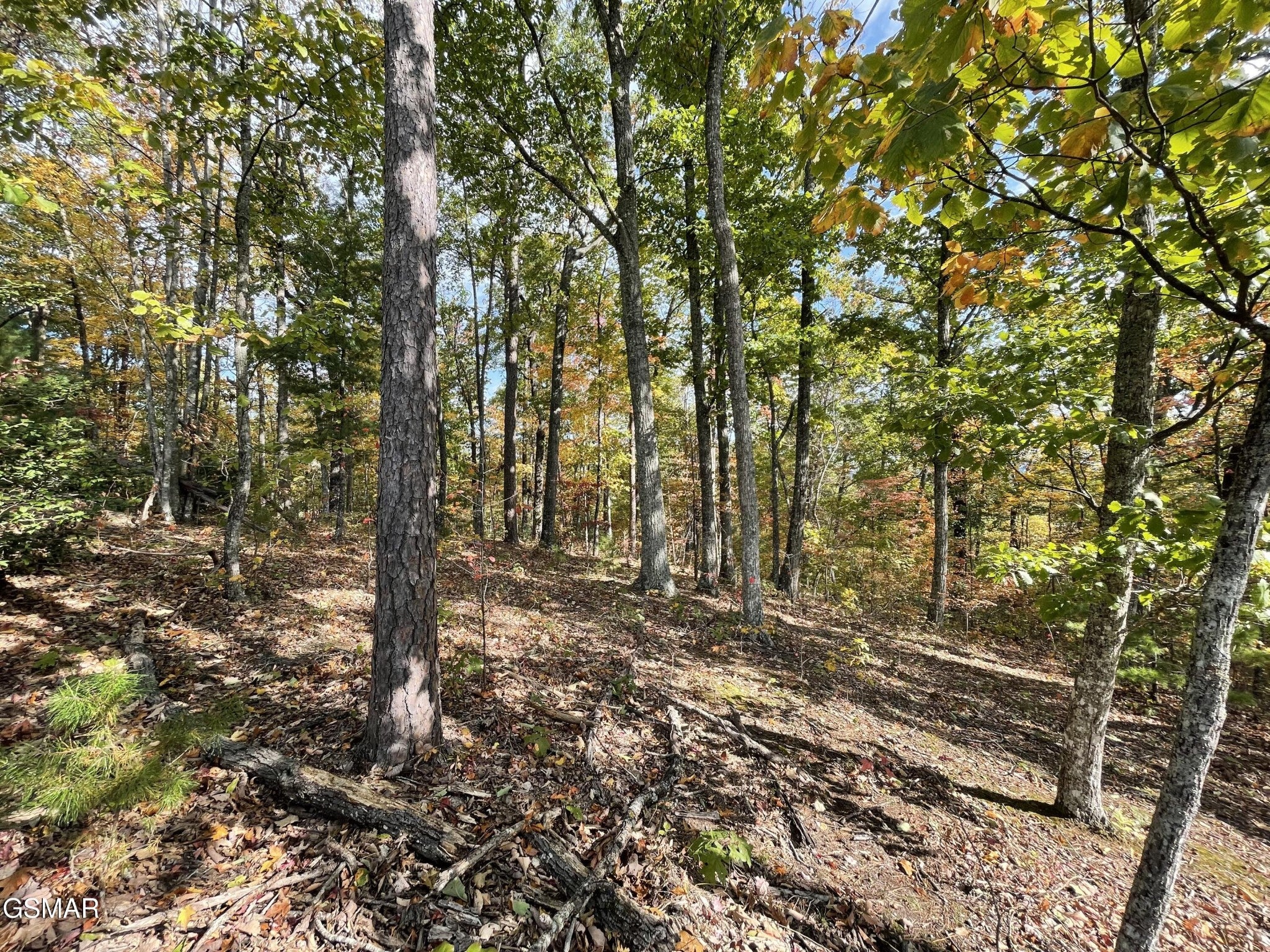 234 Sulpher Springs Way