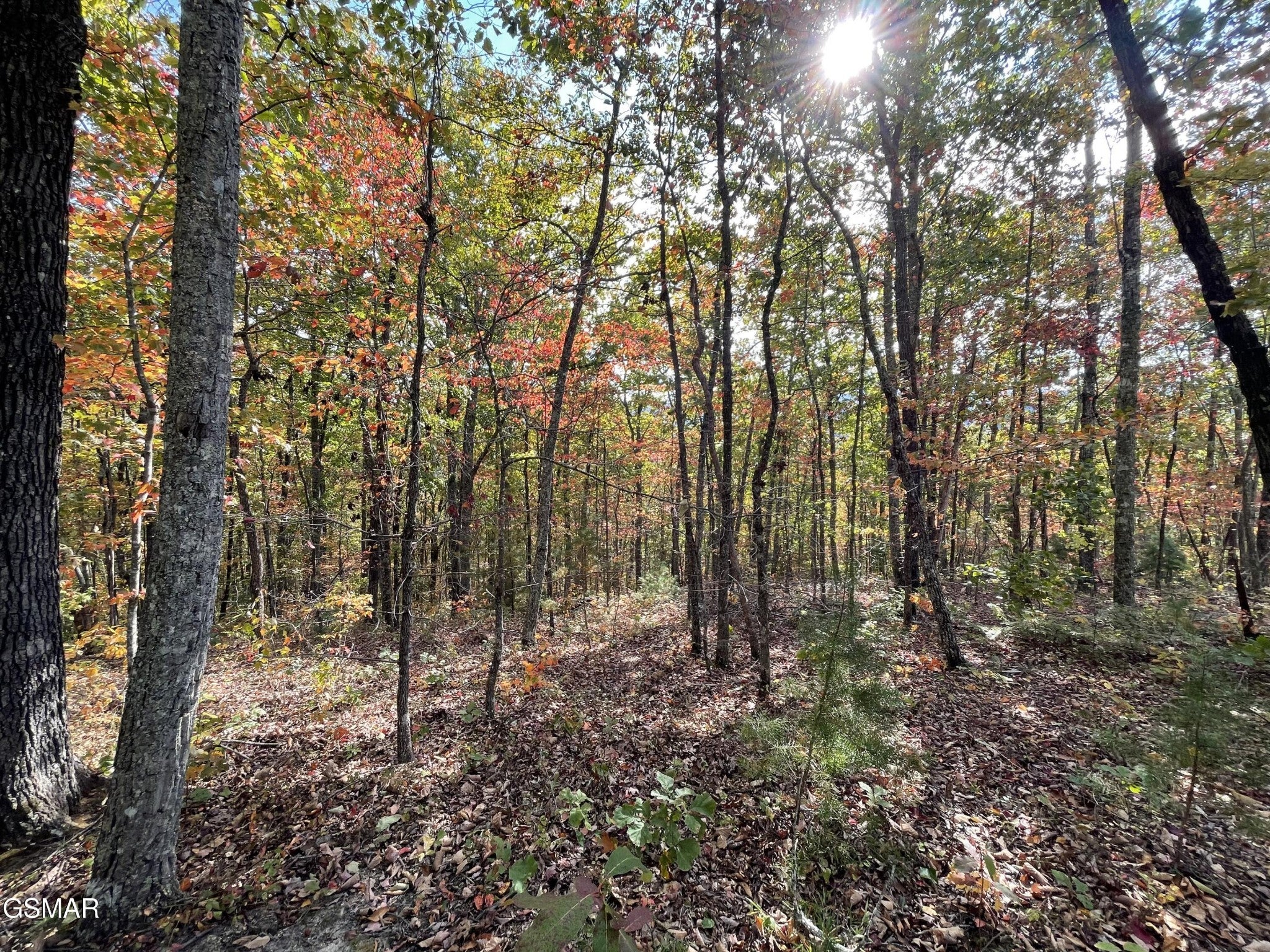 234 Sulpher Springs Way