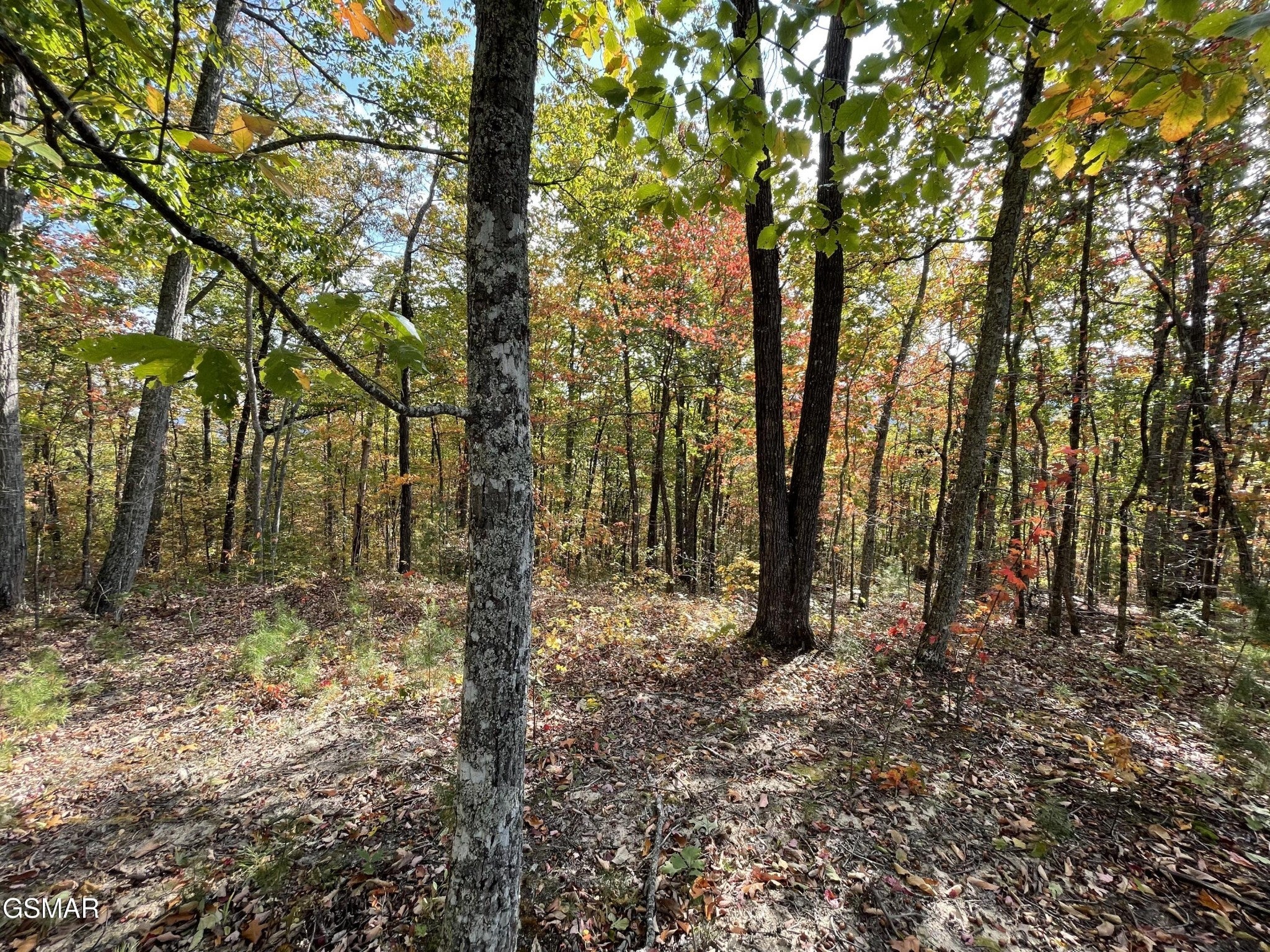 234 Sulpher Springs Way
