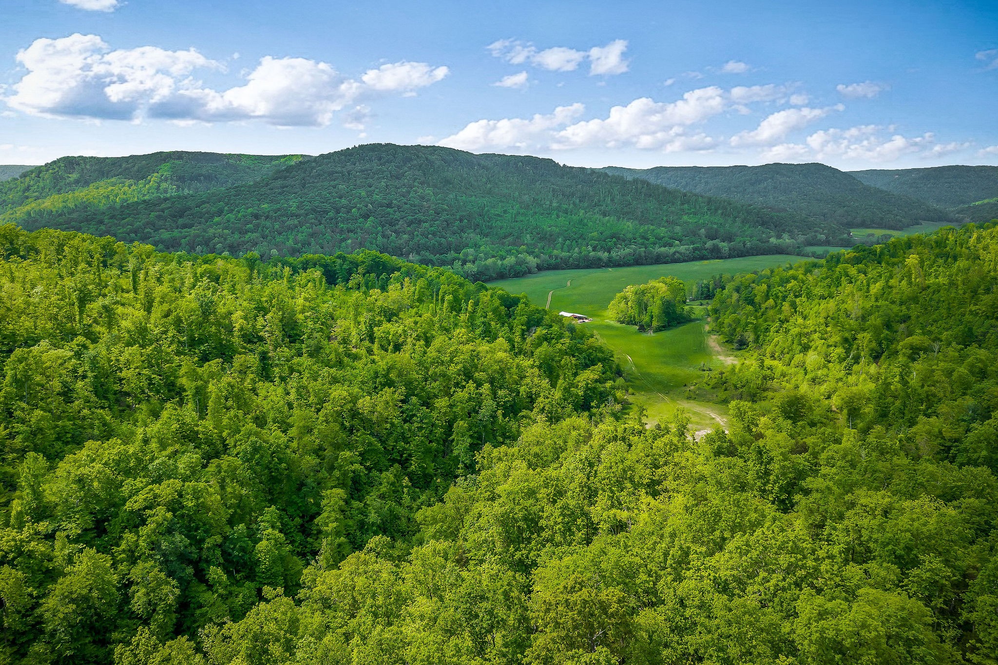 1687 Delk Creek Rd
