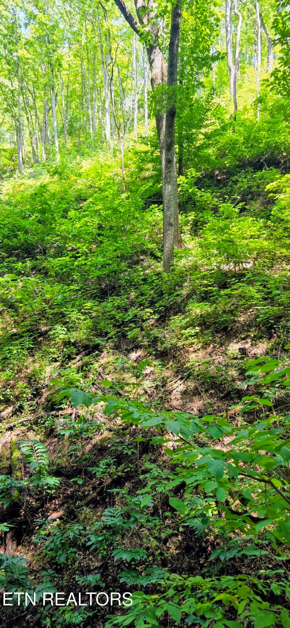 15 Emerald Springs Loop