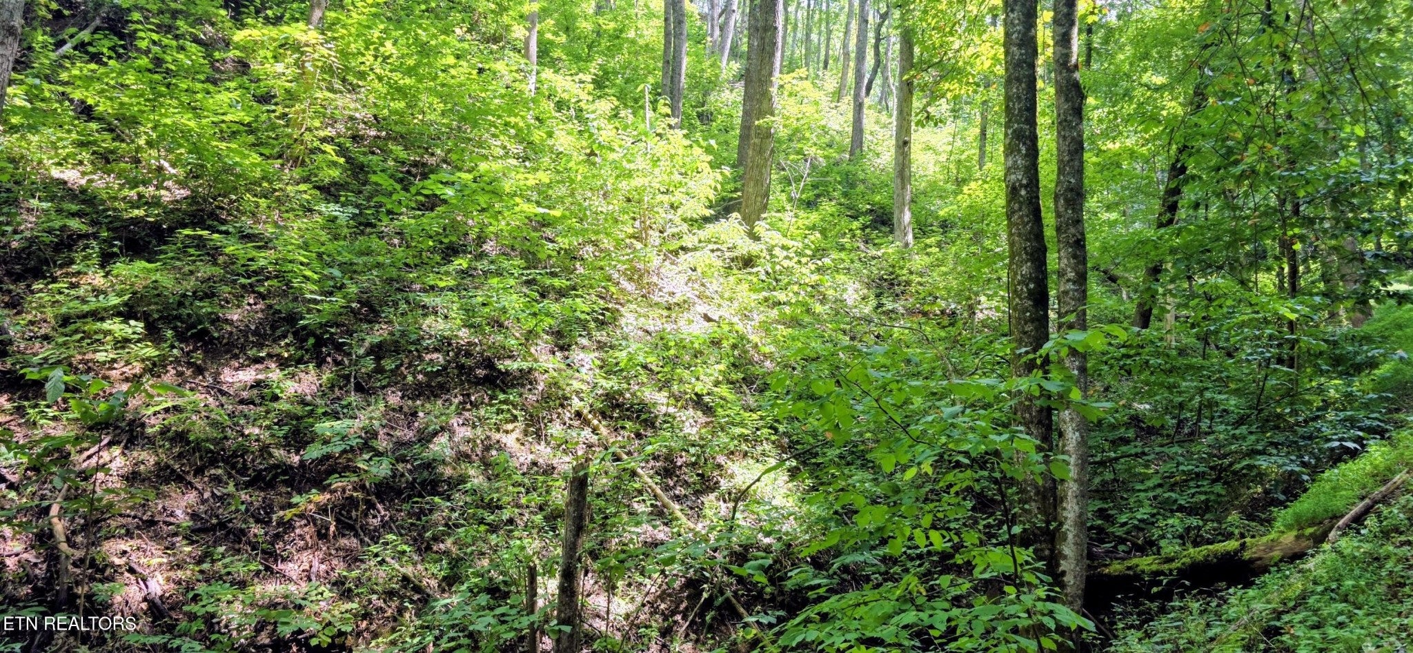 15 Emerald Springs Loop