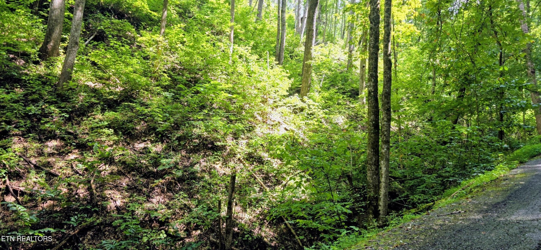 15 Emerald Springs Loop