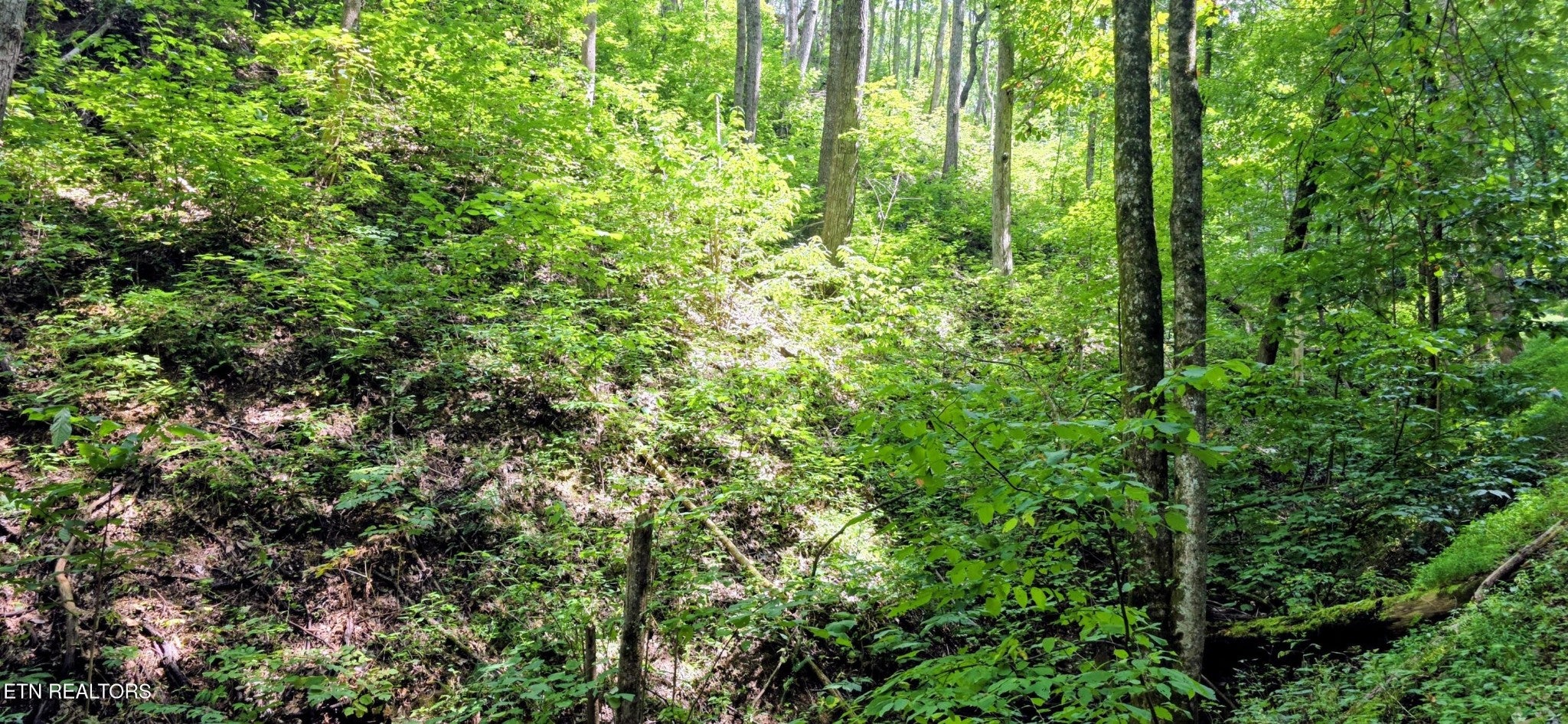 15 Emerald Springs Loop