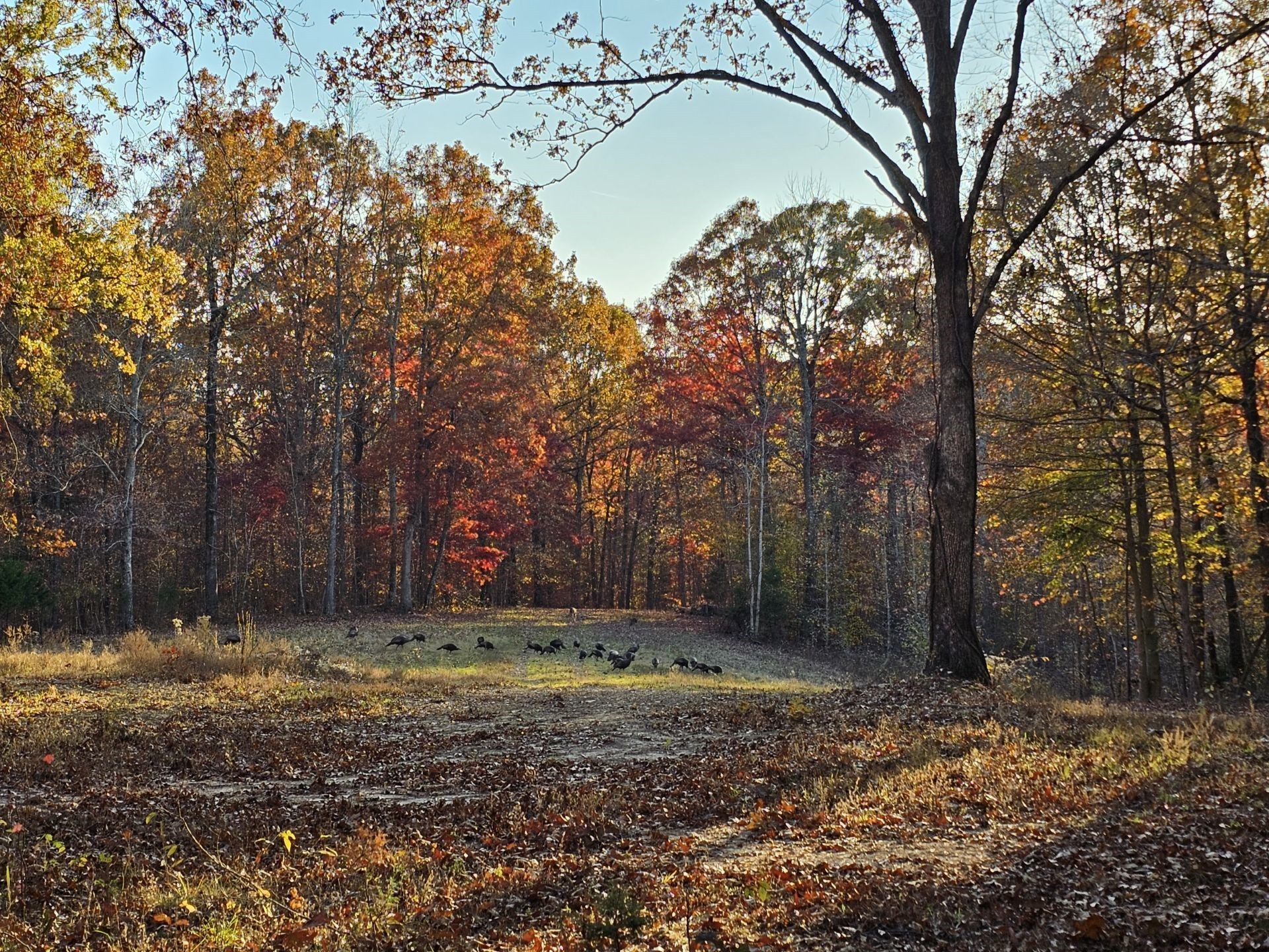 0 Baggett Hollow