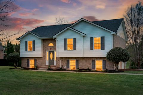 Photo of 1300 Bluebonnet Dr, Clarksville, TN 37042 (MLS # 3167955)