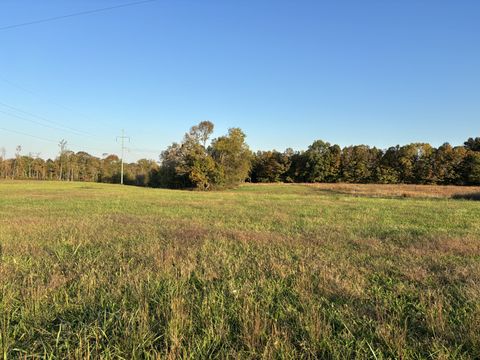 0 Hanestown rd Lafayette TN 37083