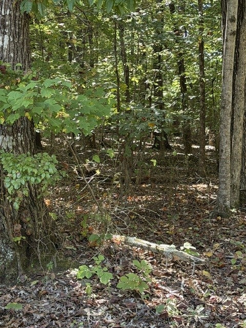 0 Hopkins Lane