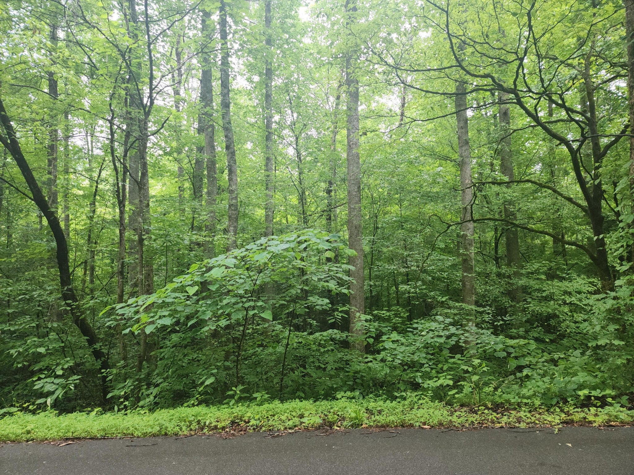 0 Rocky Flats Rd Road