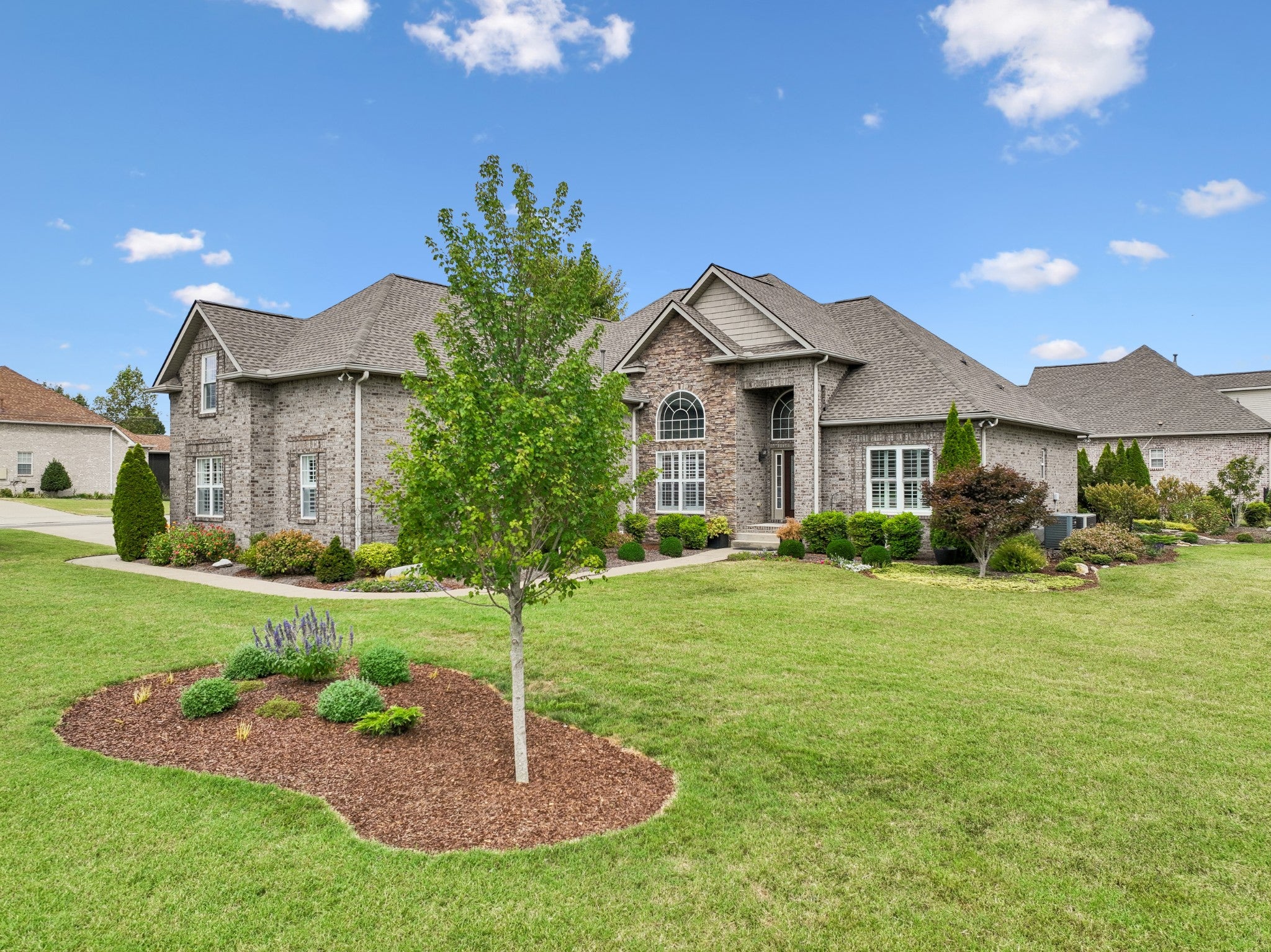 1019 Blue Jay Way