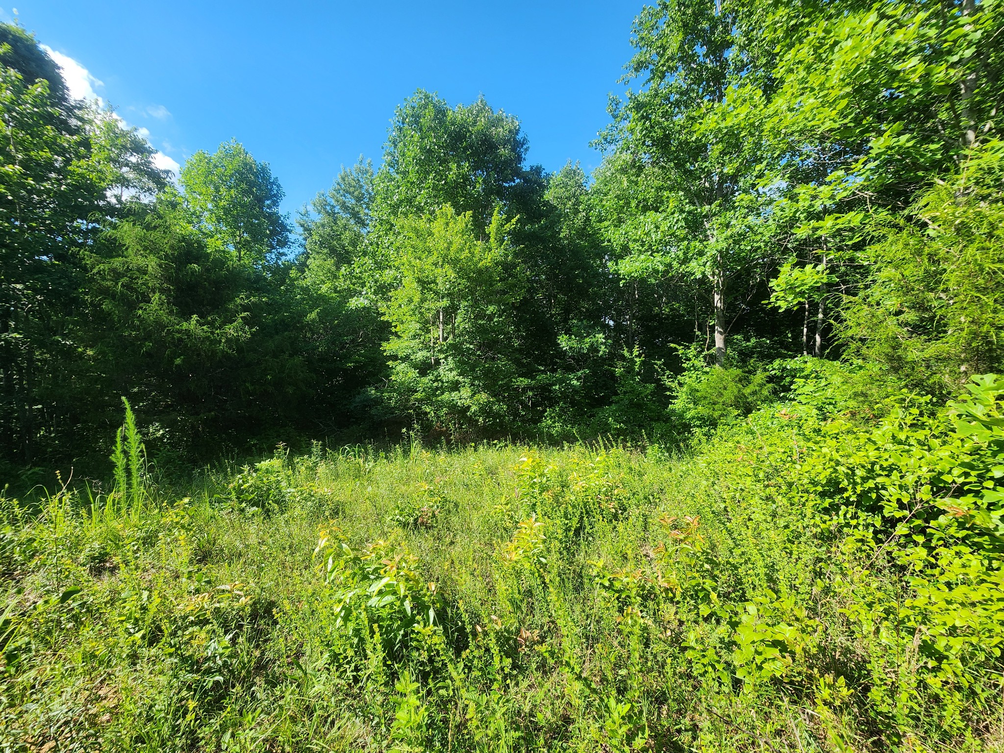 0 Sinking Creek Rd
