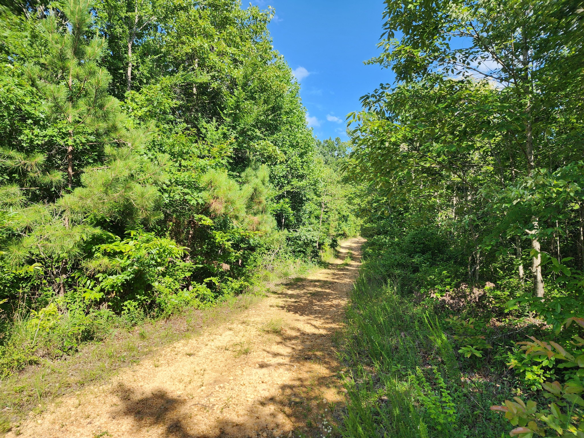 0 Sinking Creek Rd