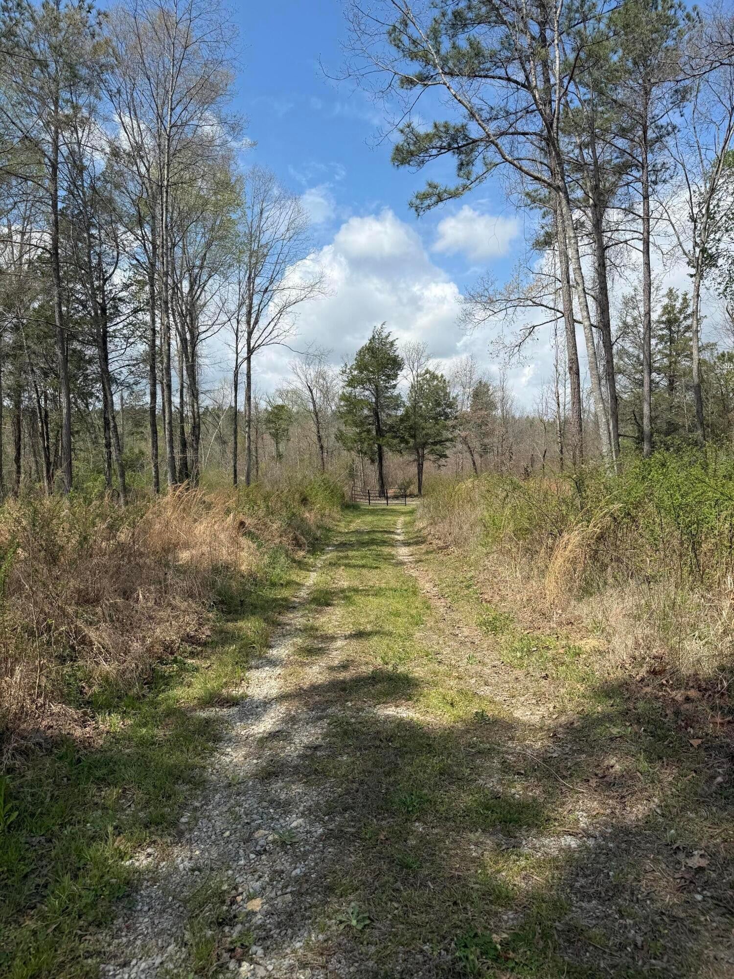 5 Calico Road
