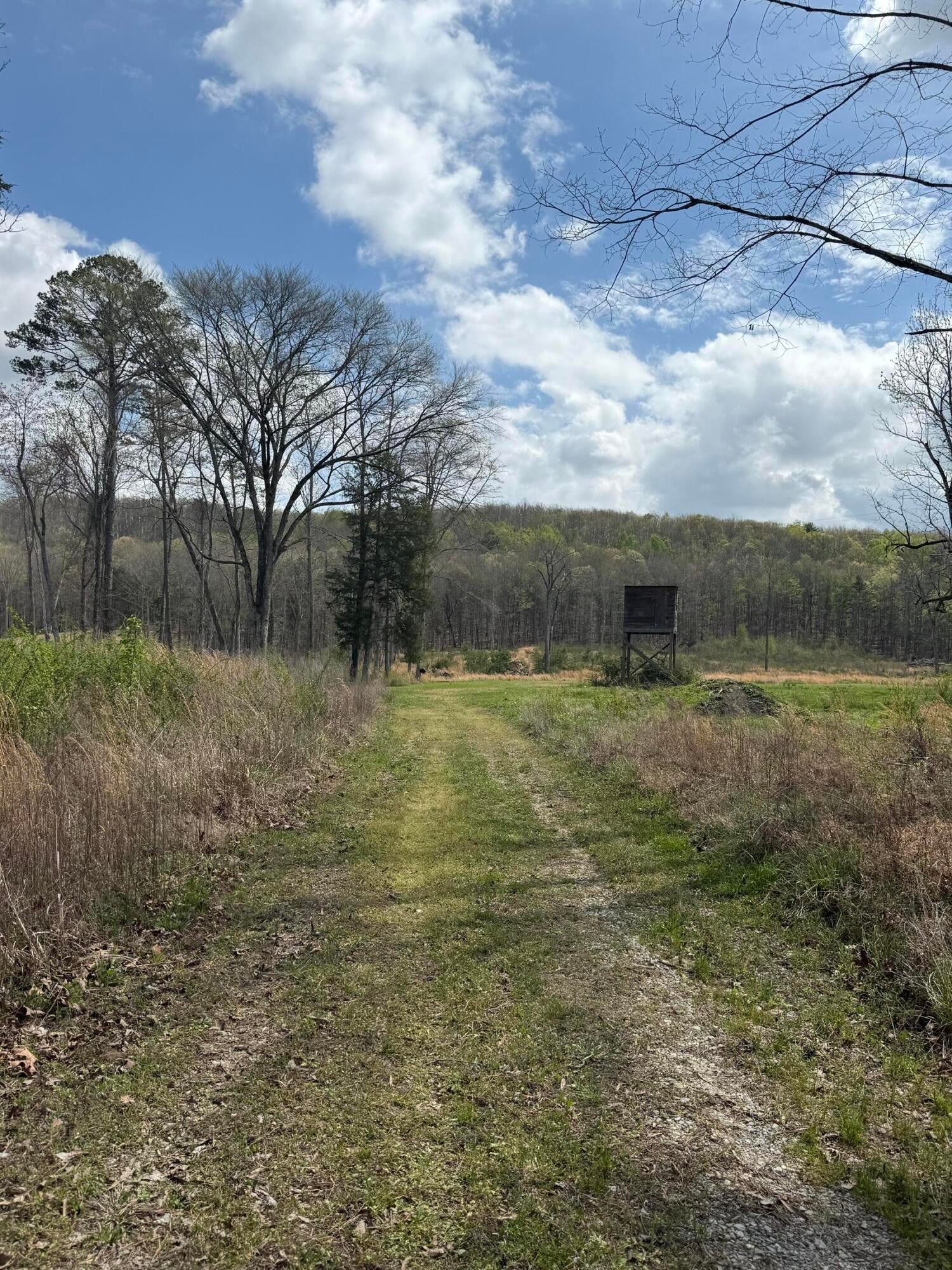 5 Calico Road