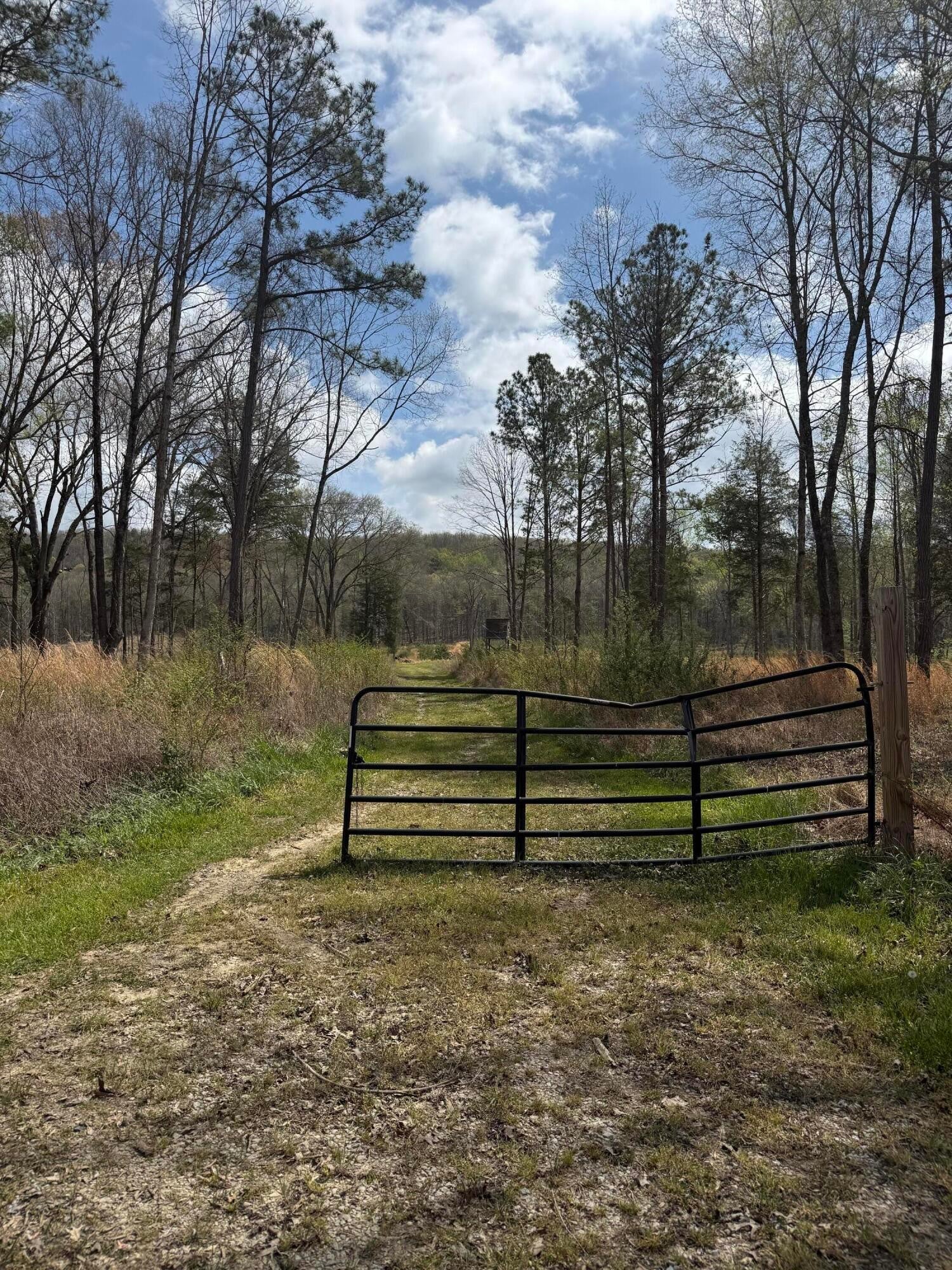 5 Calico Road
