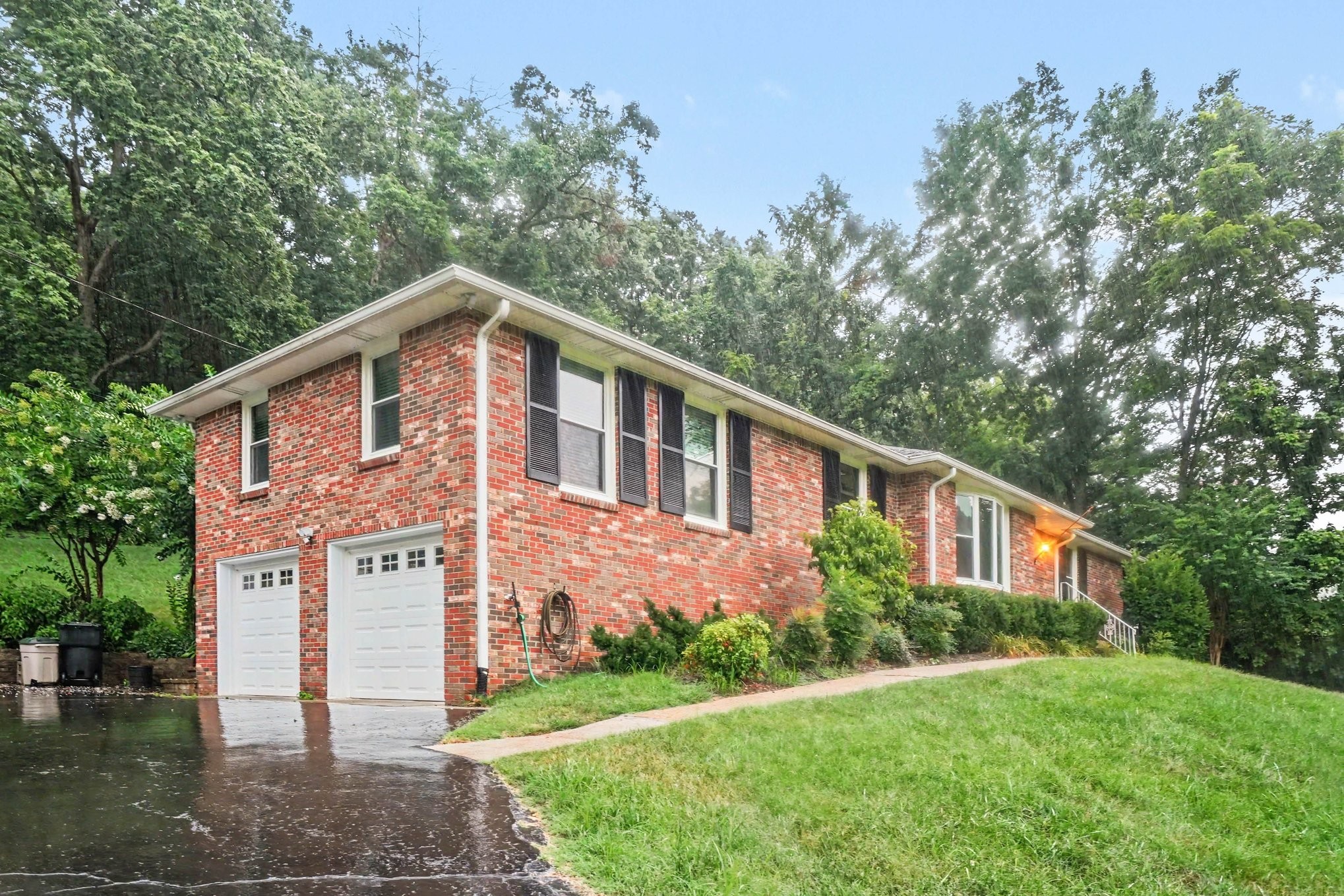 804 Rodney Dr