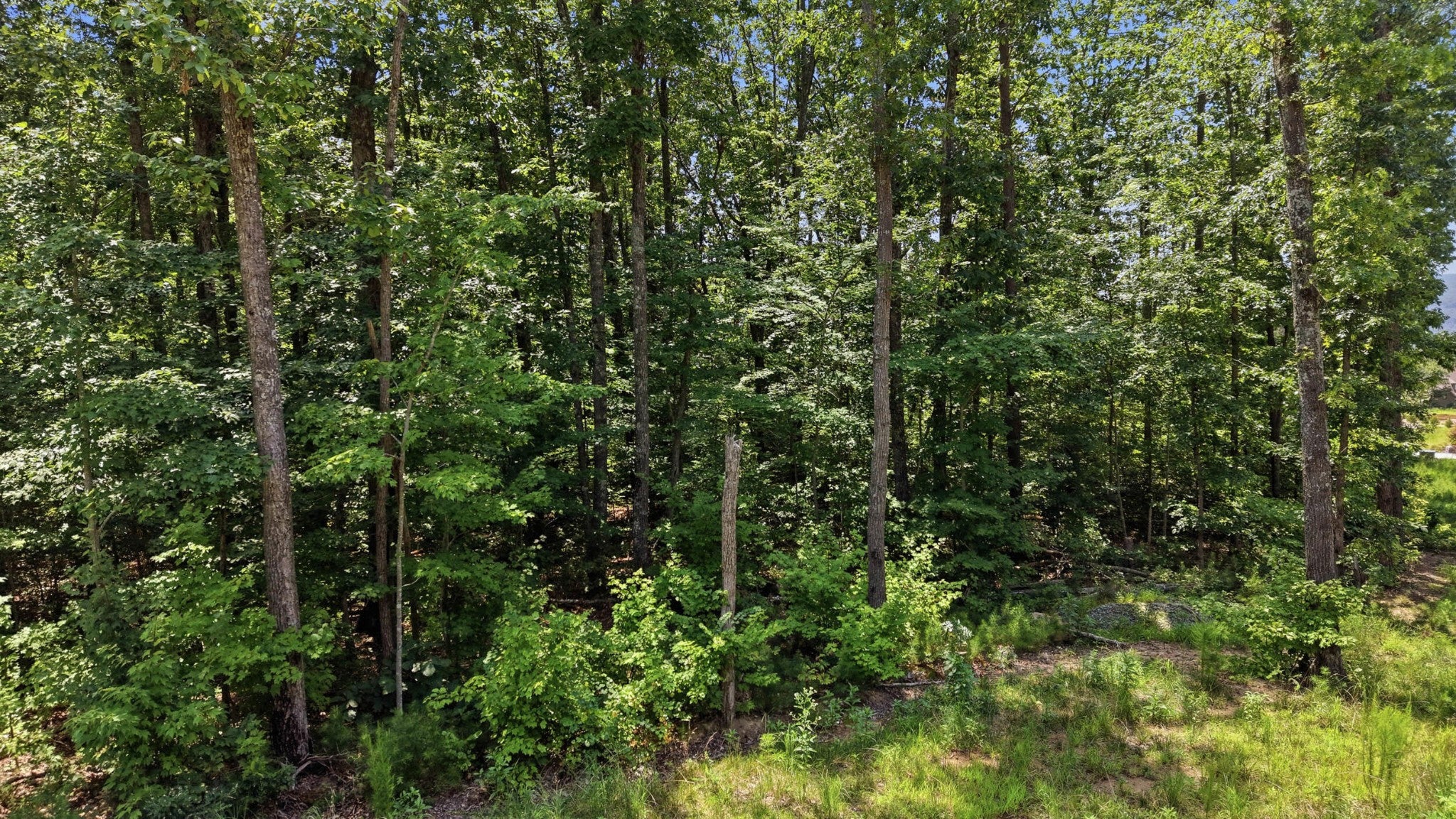 8482 Big Sky Lane