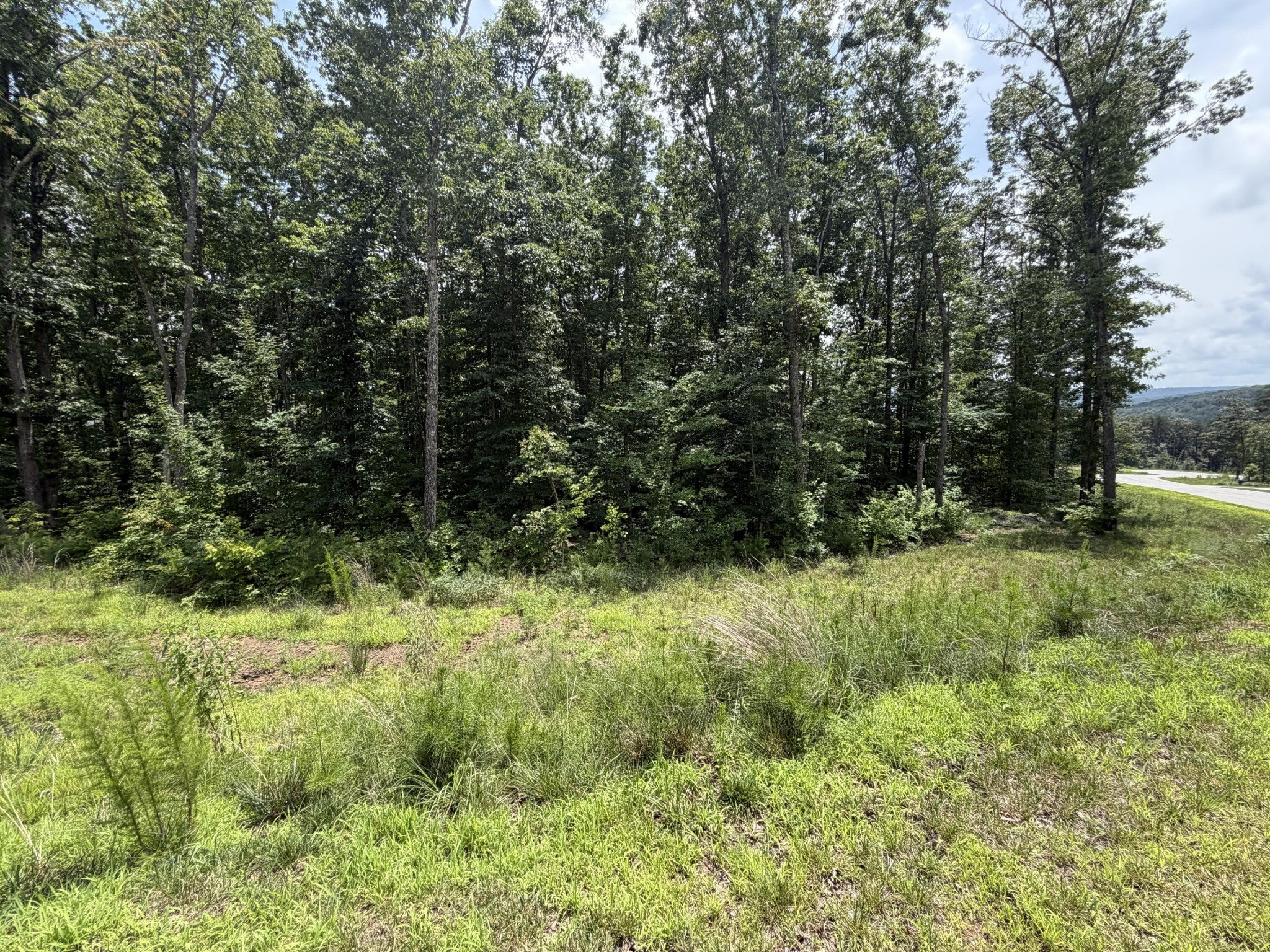 8482 Big Sky Lane