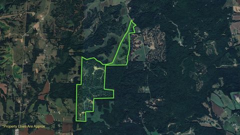 0 Old Paris Murray Rd Puryear TN 38251