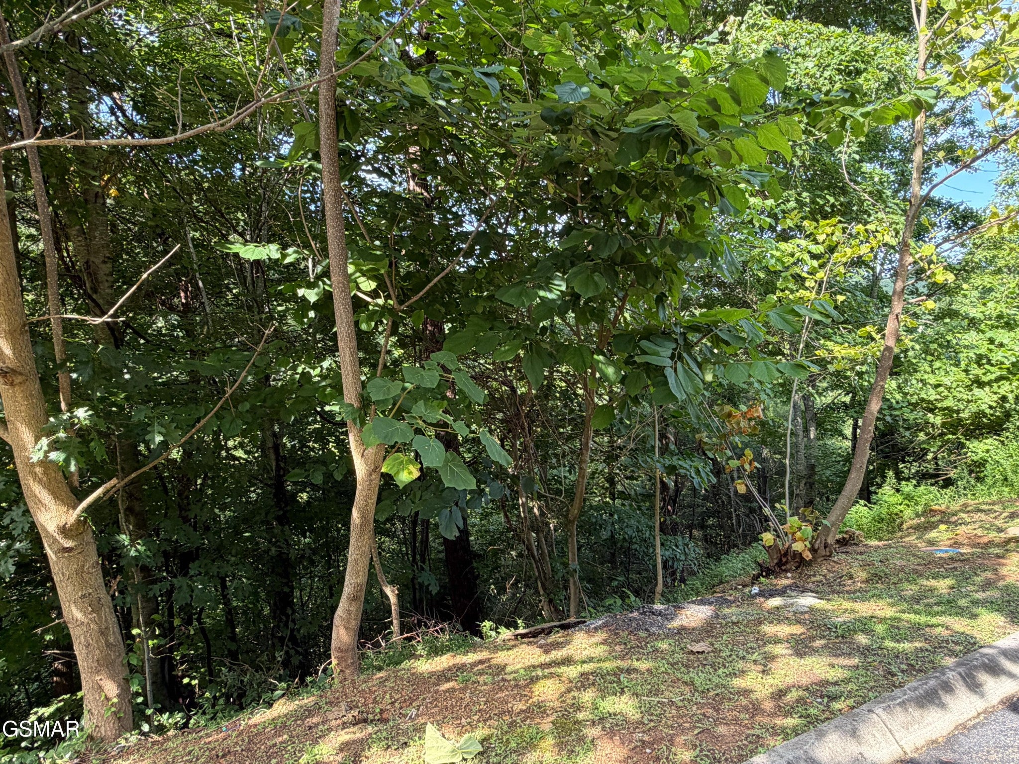 56 Smoky Ridge Way