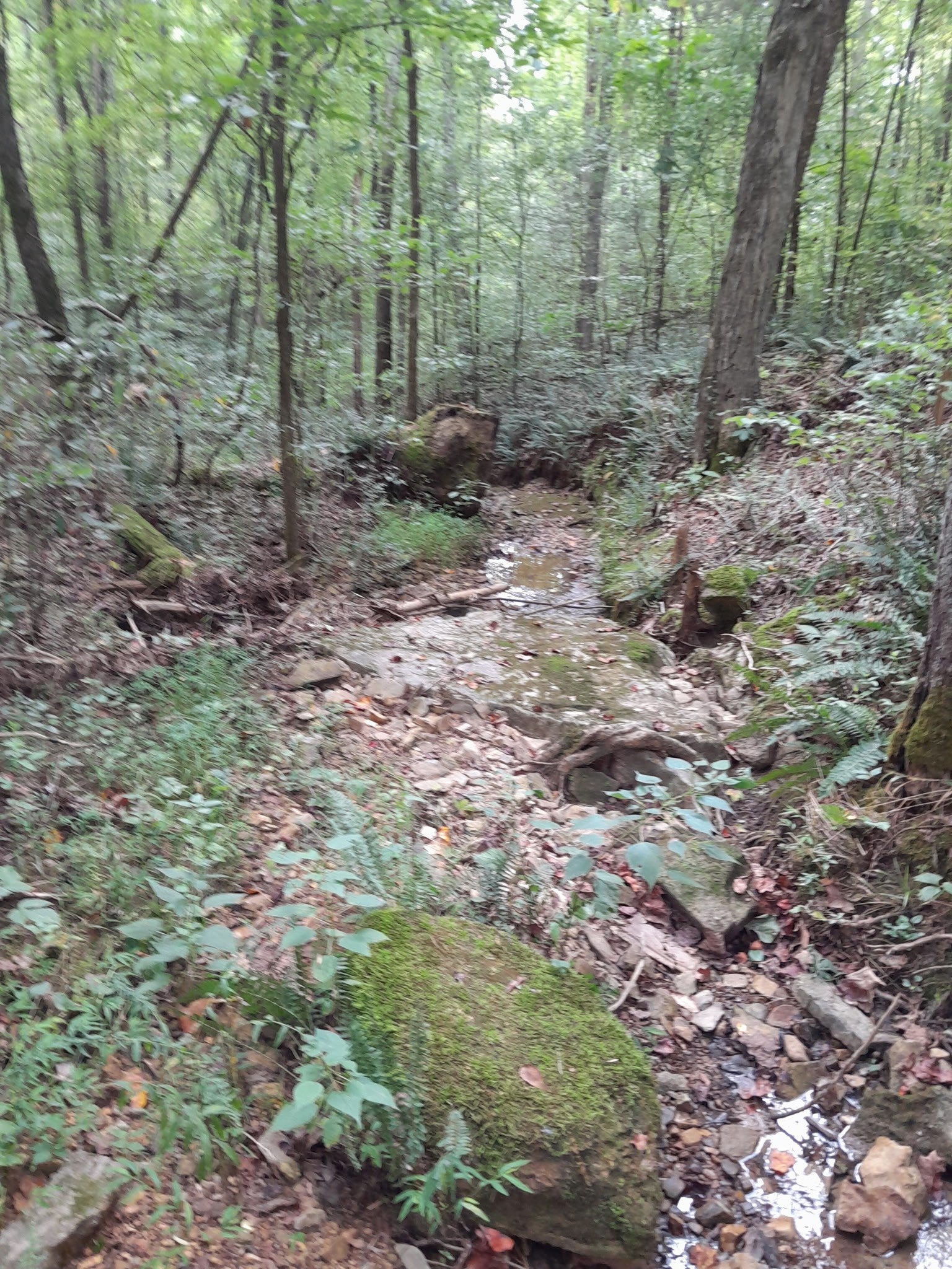 0 Meadows Rd
