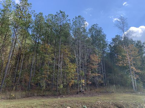 4910 Raulston Falls Road Jasper TN 37347
