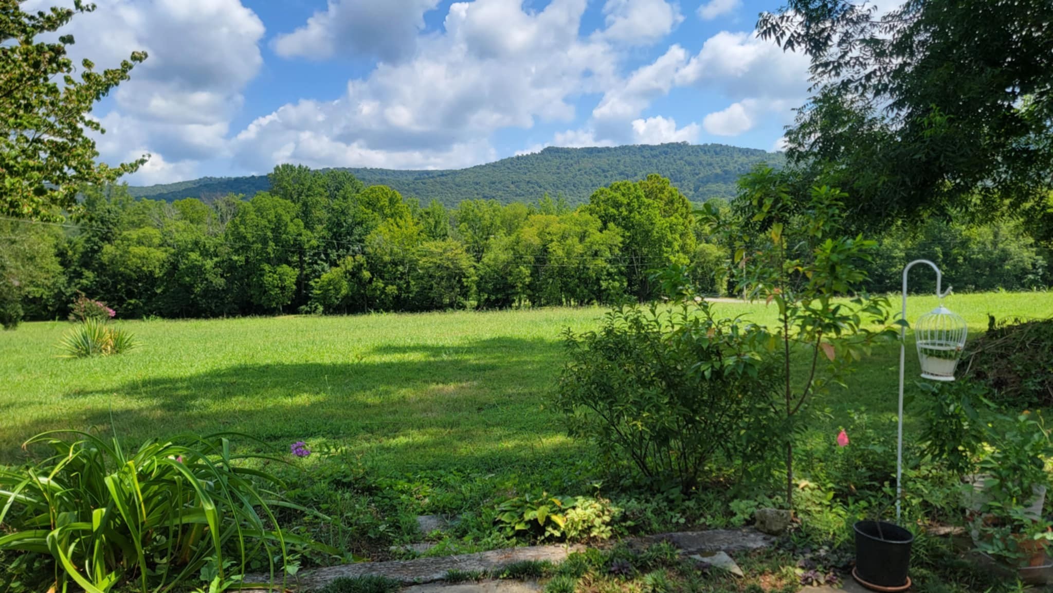 1556 Chestnut Grove Rd