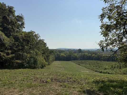 COOKS RD, MOUNT JULIET, TN 37122 - Image 7ce1d7cc51403325eda8d53d02fbf6bc/1742007621