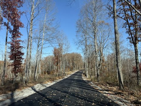 5 Falling Timber Dr Pegram TN 37143