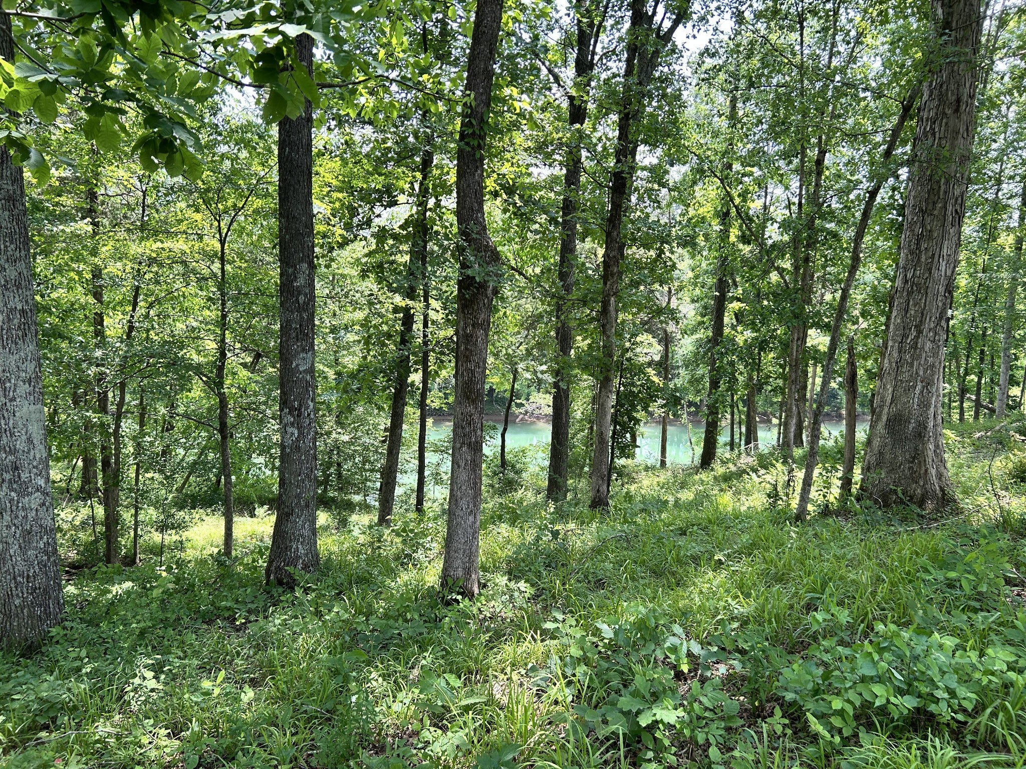 0 Anchor Bend Dr