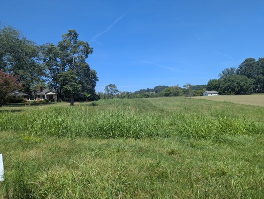 508 GIBBS LN, GALLATIN, TN 37066 - Image 7d02cf3923a8a7f37f285daa1e270480/2844185804
