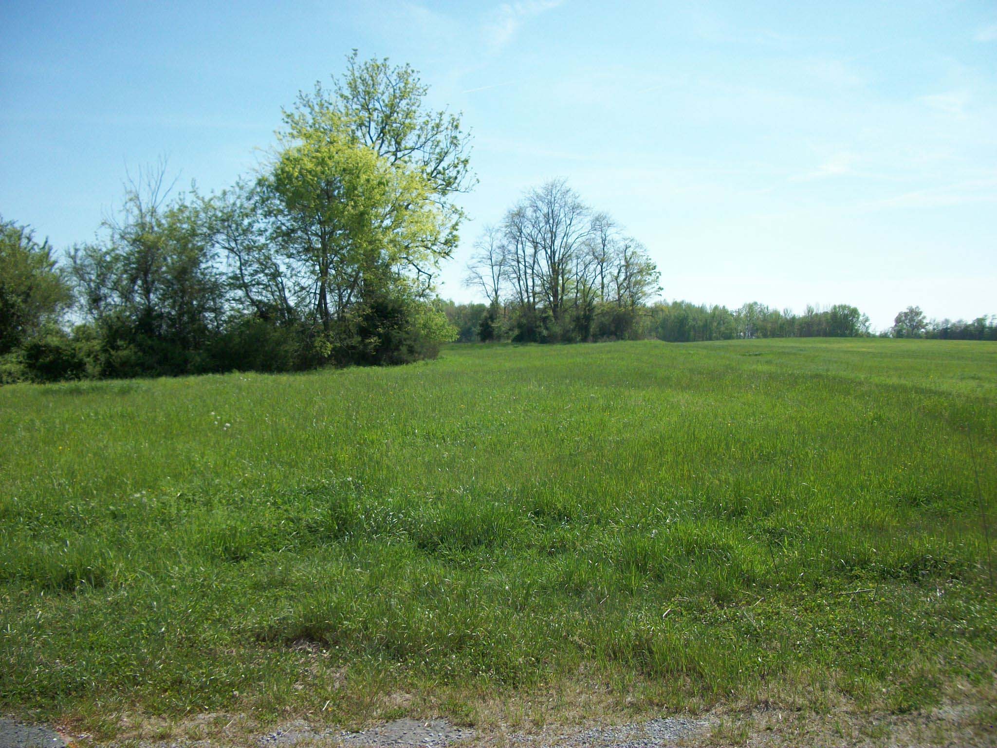 0 Blanton School Rd