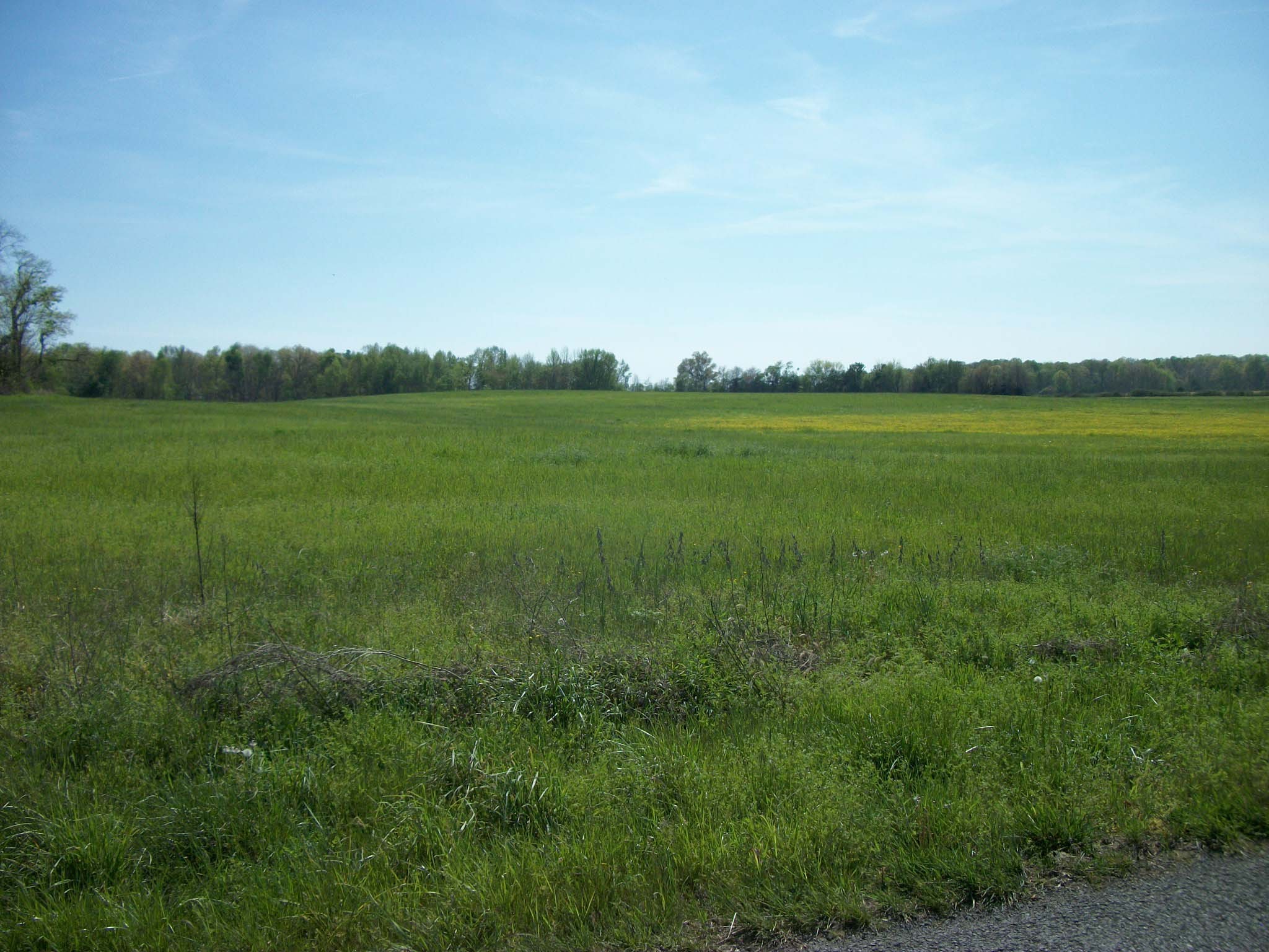 0 Blanton School Rd