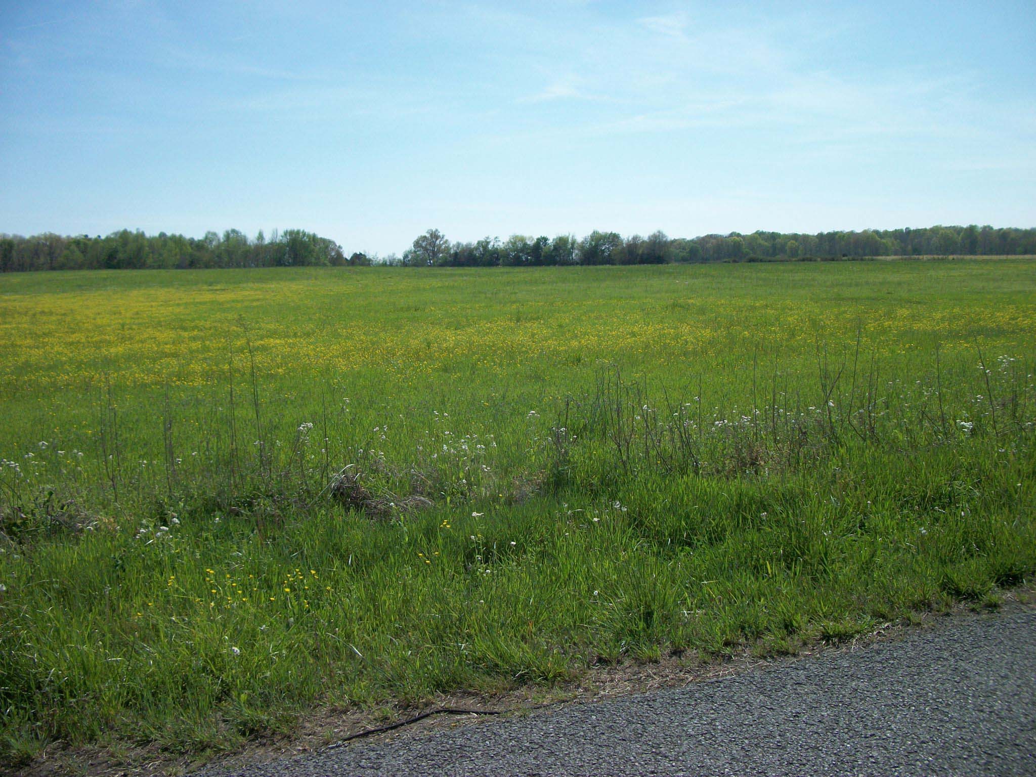 0 Blanton School Rd