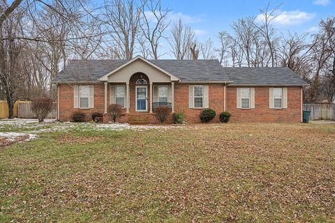131 Cora St Portland TN 37148
