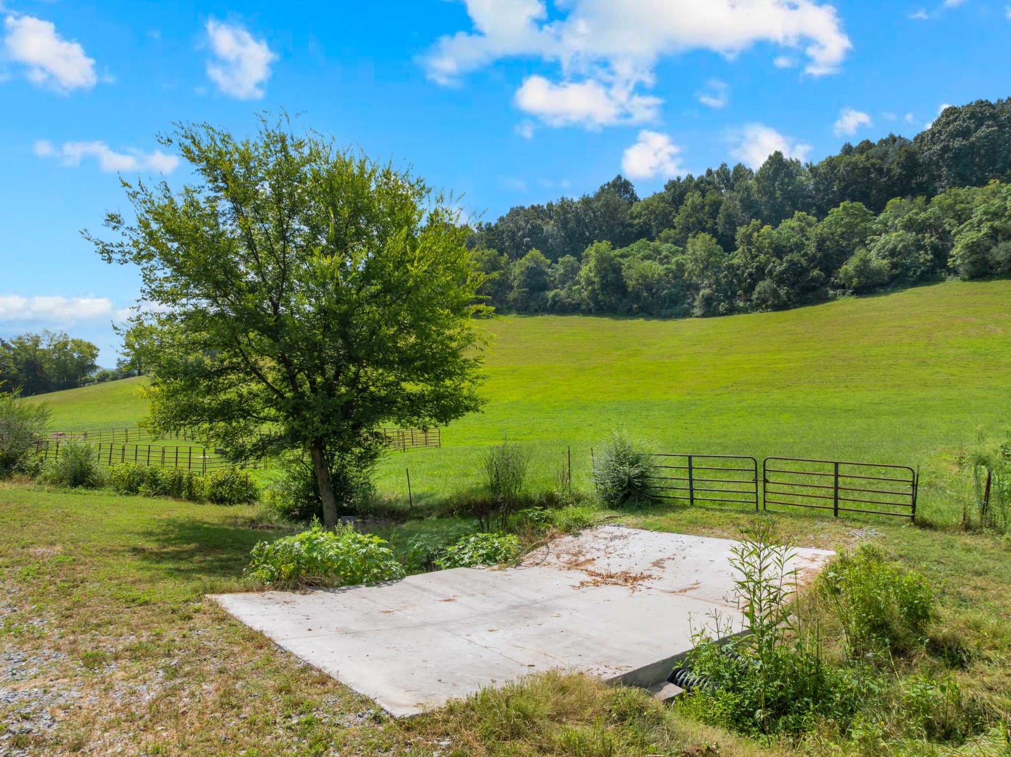 1220 Normandy Rd