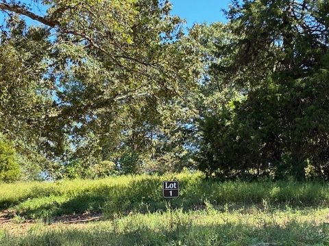 3200 Hunziker Lane Fairview TN 37062