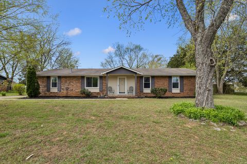 121 Crockett Ct Smyrna TN 37167