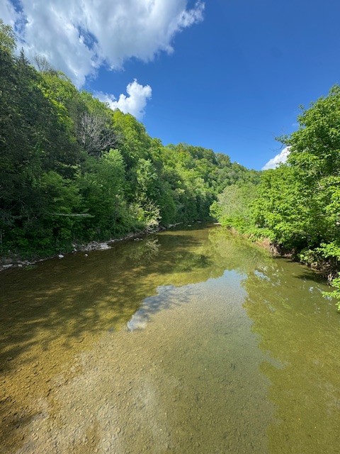 0 Blackburn Fork Rd