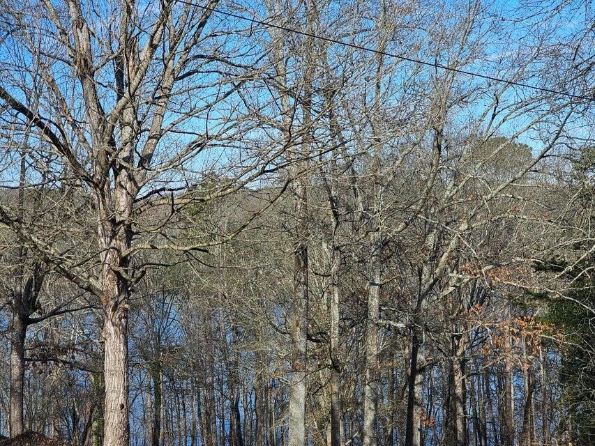 8 Kittiwake Place Nw