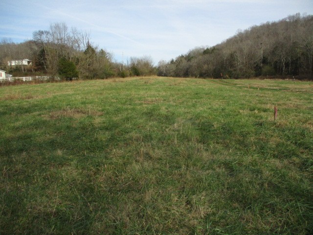 508 Rogues Fork Creek Rd