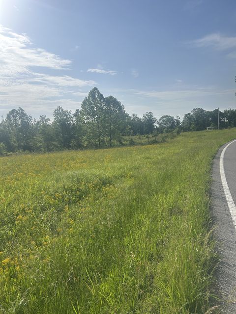 2047 Buffalo Rd Hohenwald TN 38462