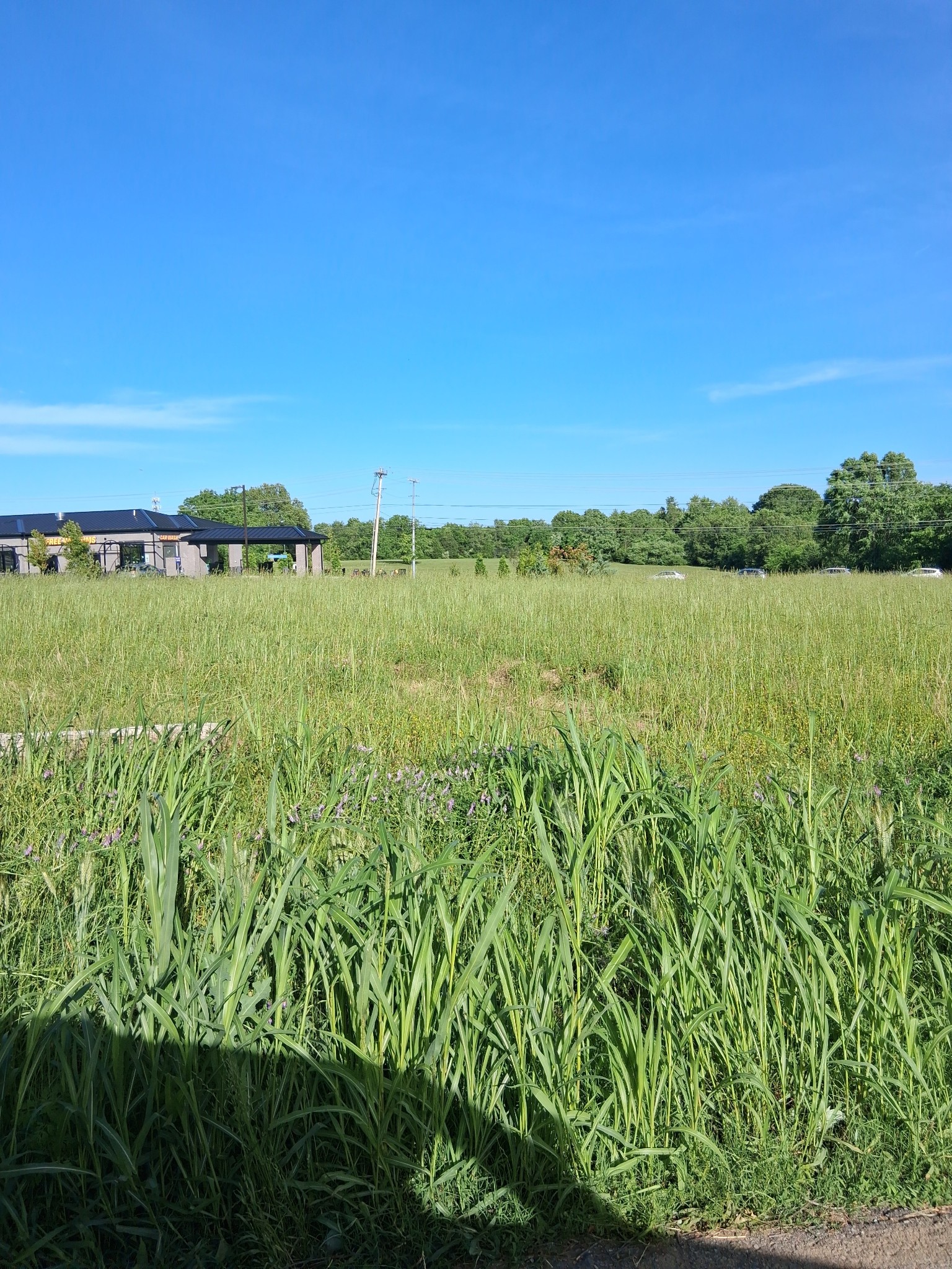 569 New Shackle Island Rd