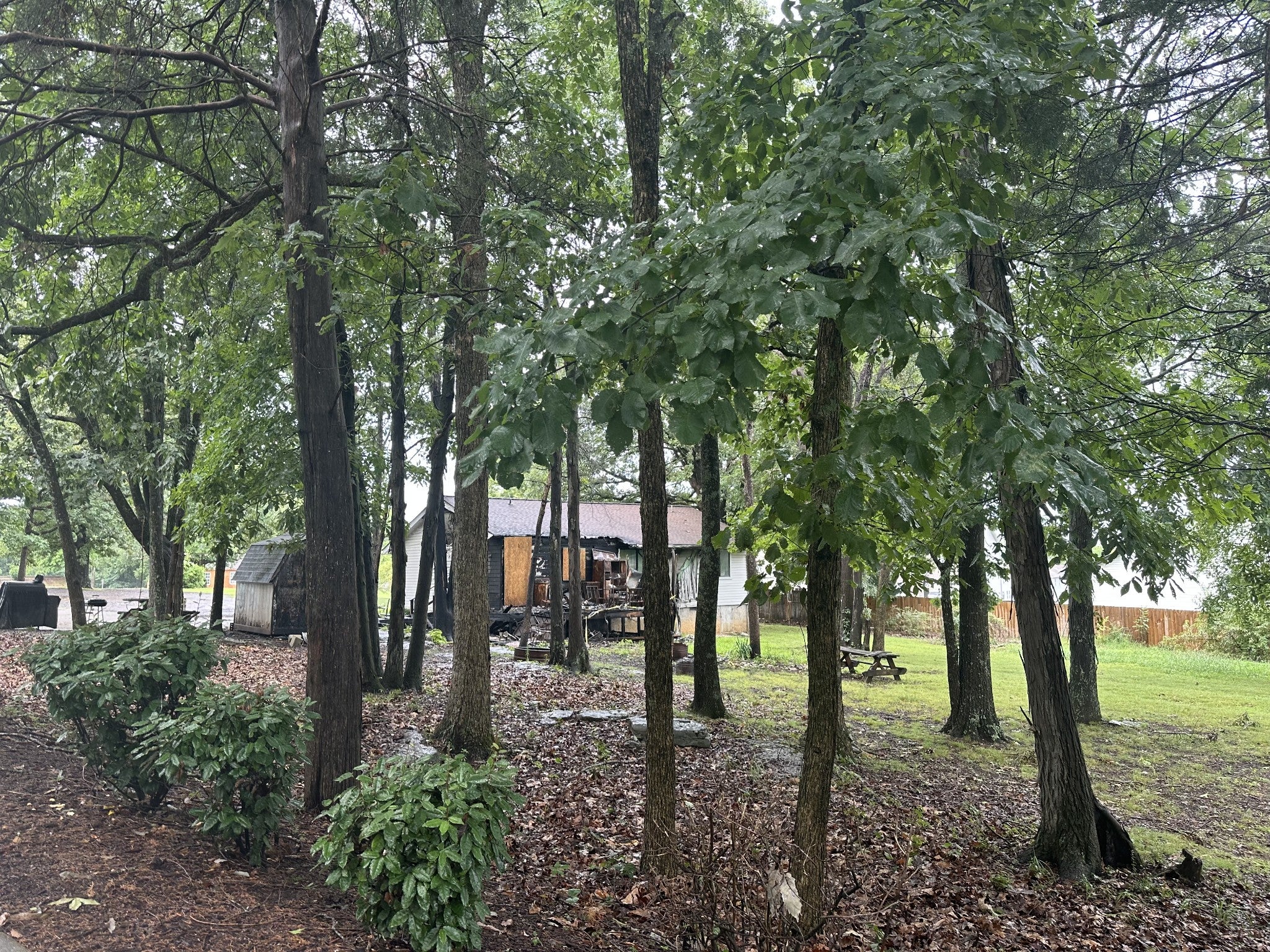 1323 Bluebird Rd