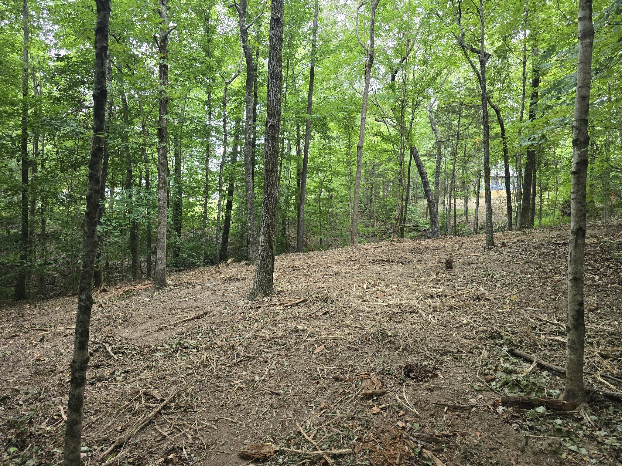 0 Cedar Hill Dr