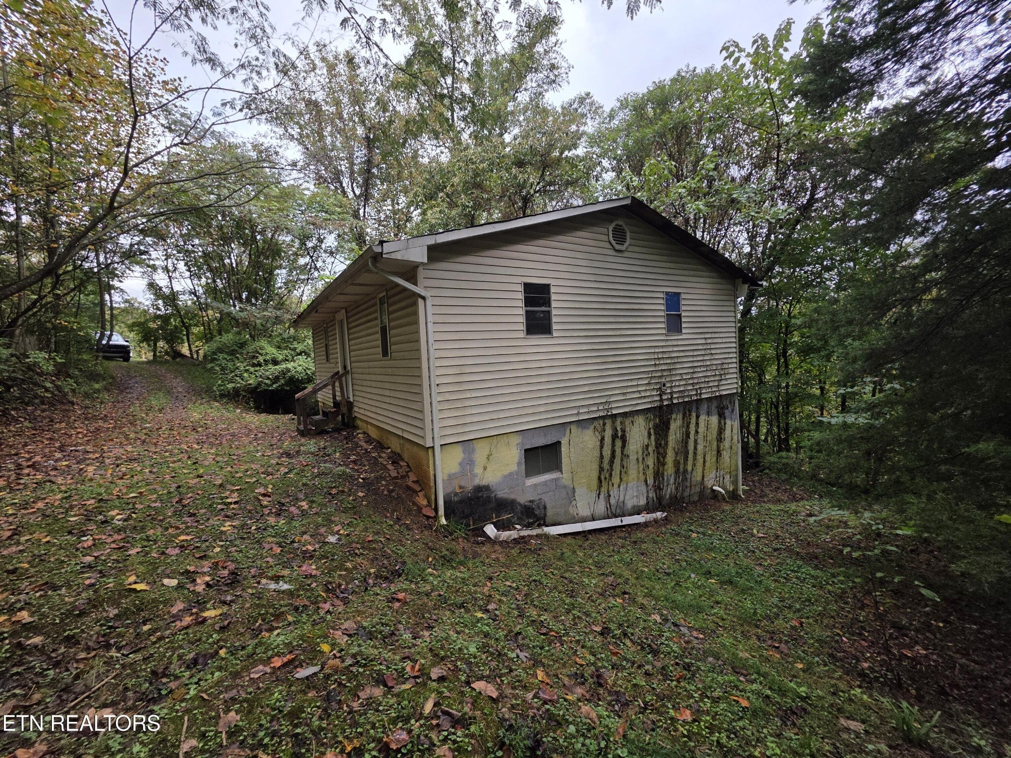 141 White Lane