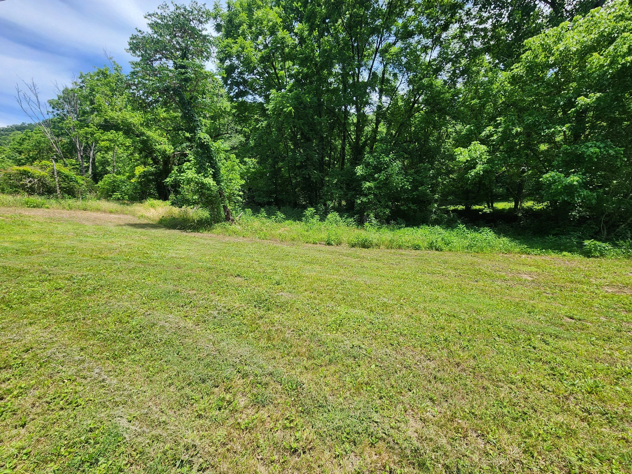 1 Scruggs Hollow Ln