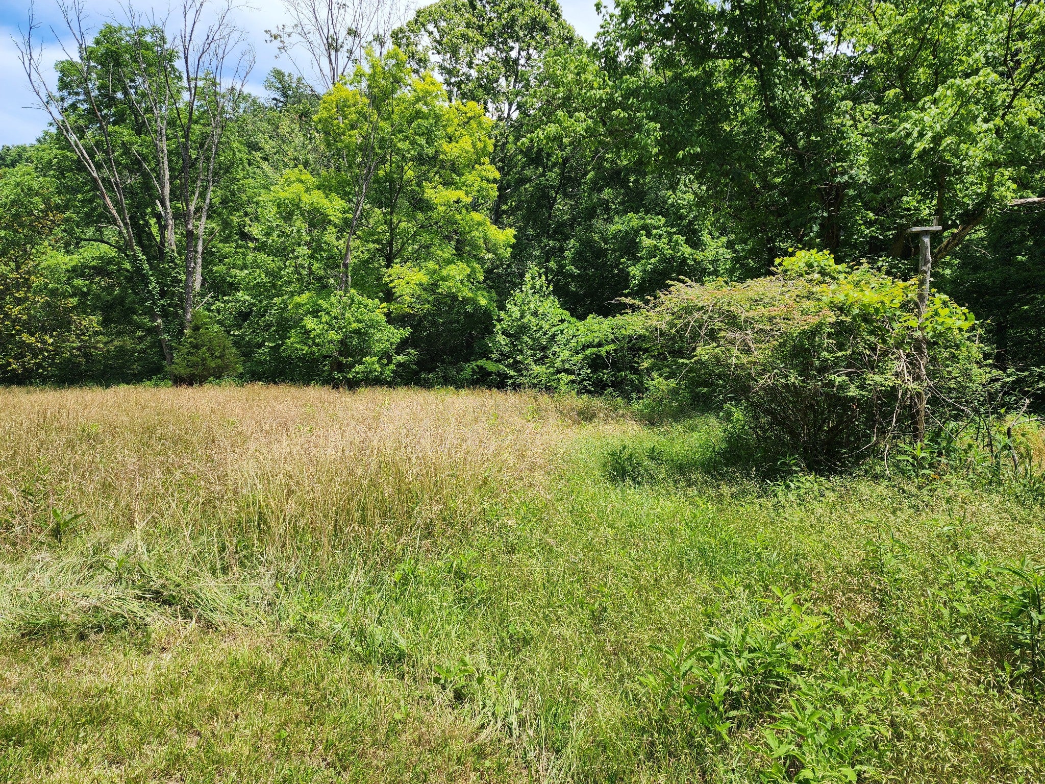 1 Scruggs Hollow Ln